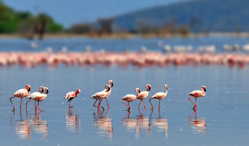 NATURA Il Monticolo Vacanze le nostre proposte